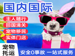 承德普宁航空运输国际宠物托运 【国